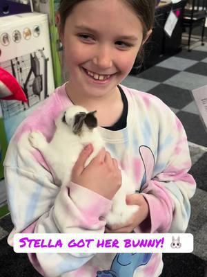 Stella finally found HER PET! #bunny #firstpet 