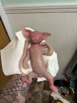 #reborn #silicone #silconeart #artdolls #therapy #kitten #sculptress #sphynxcatsoftiktok #handmade 