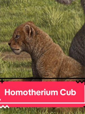 #prehistoricwtf #homotherium #sabertooth #paleontology #iceage #megafauna #dinosaur #dinotok#greenscreen 