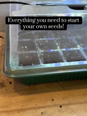 #seedstarting #beginnergardener #gardening #seedtray 