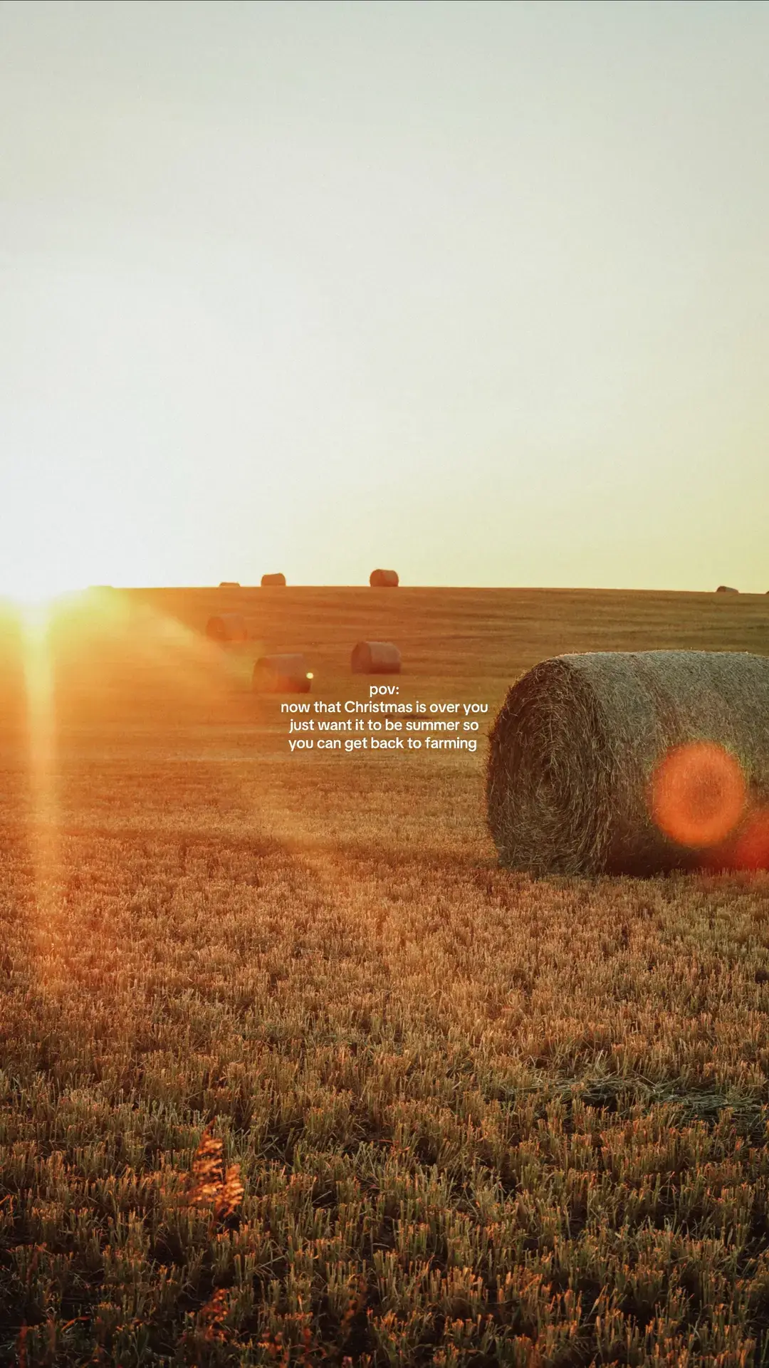 #rurallife #ruralphotographer #ruralphotography #western #outwest #ruralamerica #agtok #farmtok #ag #farm #farmersdaughter #westernamerica #harvest #wheat #goldenhour 