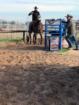 My breakaway slot horse looking like a beast today 😎🖤 #wildeyeranch #foryou #fyp #buildingchampions #winnerswork #breakawayhorses #scoregoodgettgeneck 