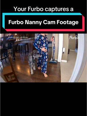 I absolutely love my Furbo! It’s linked in TikTok shop in this playlist and pinned to the top of my page. #fyp #foryou #furbo #dogsoftiktok #creatorsearchinsights #dogcamera #nannycam #dogmom 