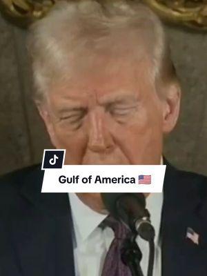 Gulf of America .. I LIKE IT!  #TRUMP #gulfofamerica #gulfofmexico #trump2024ever 