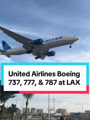 United Airlines Boeing 737, 777, & 787 arrival into Los Angeles from Denver, Chicago and Shanghai. #onthisday #fypシ゚viral #California #LAX #WorldOfAirports #UnitedAirlines #Boeing737 #Boeing777 #Boeing787 #Like #Share #Follow #RoadTo30kFollowers #YeahBuddy #LetsGooo #2025 #BepsiAirlines 