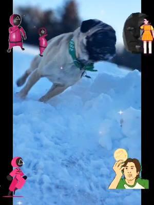 My bf made this video of my #pugs #playing  #squidgames #redlightgreenlight @Squid Game Netflix #squidgame in the #snow #winter #babypug #dog #dogs #pug #puglife #puppy #puppytiktok #puppies #funnydog #fyp #for #foryoupage #iwillnotpaytoboostmyvideos #tiktokviral #lowviews #fypシ #fypシ゚viral #foryoupage 