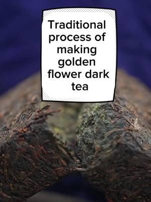 Traditional process of making deep golden flower dark tea#traditional #maketea #teaknowledge #chinesetea #teachtea #tealovers☕💗 #darktea#blacktea #kunfutea #teaculture 