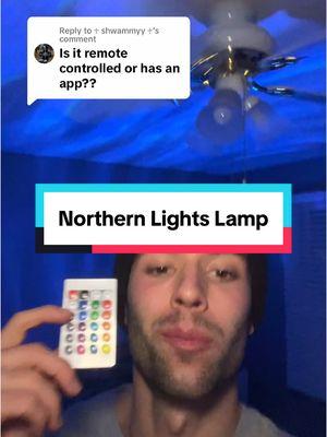 Replying to @♱ shwammyy ♱ this #northernlights lamp is super easy to use and adjust with this remote #northernlights #ledlights #bedroomdecor #bedroomlights #relaxingvibes 