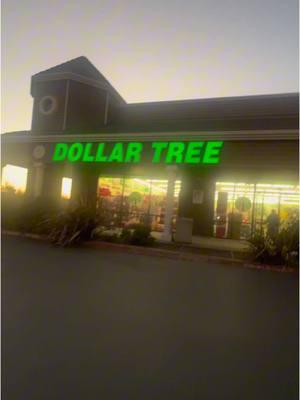 Dollar tree trip !!! So many good items!!!!!! 💰🌳🫶🏻🛒 #dollartree #dollartreefinds #minivlog #shopping #gigi #elizabeth #MomsofTikTok #shoppingvlog #paratii #dollartreehaul #justagirl 