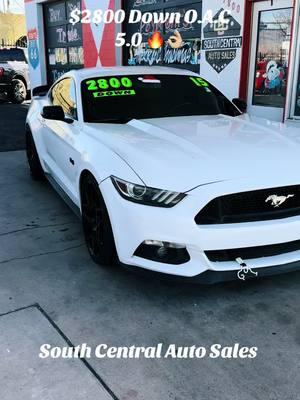 #blowthisup #fyp #fypシ゚viral #nm #southcentralautosalesABQ #southcentralautosales #parati #newmexico #albuquerque #dukecity #fypage #viral #mustang 