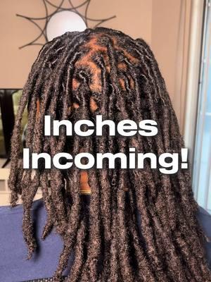 When your locs finally passing the shoulder it really be feeling like a celebration 🤣. Almost 3 years loced! #creatorsearchinsights #locgrowth #1yearlocjourney #locgrowth #locjourneychallenge #locjourneycontinues 