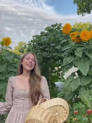 Harvest with me 🌻💛#harvest #homegrown #backyardhomestead #backyardgarden #growyourown #harvestwithme #gardening #homegrownfood #tomatoes #luffa #sunflowers #peppers #harvestseason #morningvlog