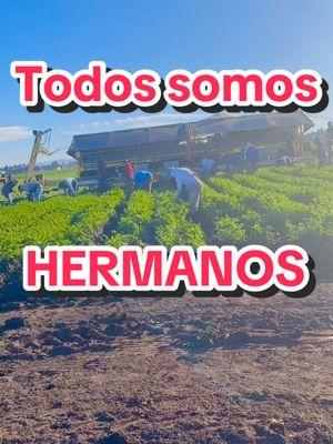 #somoshermanos #arribahonduras #arribaelsalvador #arribamexico #cabanas #jalisco #michoacan #guanajuato #aguascalientes #oaxaca #guerrero #honduras #elsalvador 