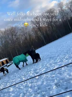 Just some bruises haha we all good #horsefails #minihorse #farmlife #foryoupage #fypシ #funnyhorsemoments #mareandgelding #spicykids