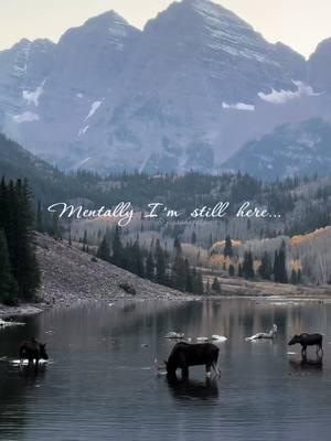 The Bells are calling again & I’ve gotta answer… 😩🤍 #maroonbells #maroonbellscolorado #moose #colorado #coloradohiker #coloradophotographer #photography #naturephotography #naturephotographer 