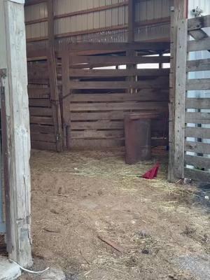 Henry is finally home from New Bolton Center and Ally and her incredible team get to work on correcting years worth of neglect on a tossed away pony named Henry. #colbyscrew #ohk