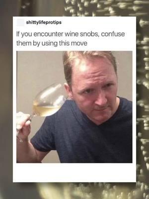 Listening to Your Wine #memes #meme #wine #winery #memestiktok #memesdaily