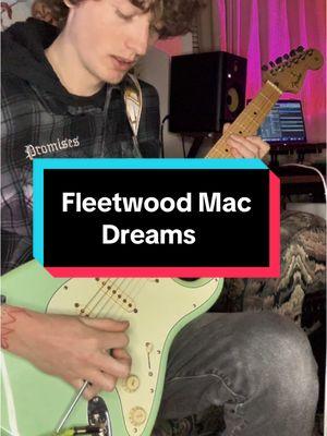 ocean spray mix 🧃#fleetwoodmac #fleetwoodmactiktok #fleetwoodmacdreams #guitarcover #guitartok #music 