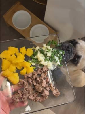 Making steak for my fur-babies! #steak #mashedpotatoes #greenbeans #squash #meals #dog #digsoftiktok #dogfood #homemade #dogmom #comfortfood #live #Love #laugh