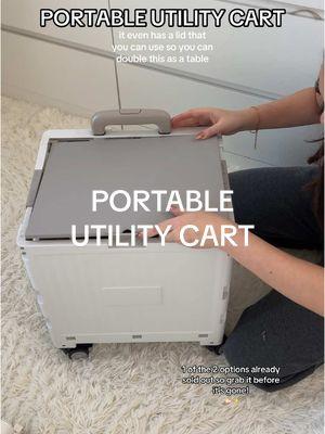 This wagon is honestly been a lifesaver and a product that has really helped my life be more convenient!  doesn’t take up any space for storage. You can carry it like a shopping bag when it’s folded or you can just hold it up like a crate  when bringing groceries upstairs!  this one actually comes with a lid which I think is so cool because you can double it as a little table or a desk if you’re on a picnic or even use it as a seat!  I got this for my dad and it’s great for him since he hurt his back honestly have nothing but positive reviews for this product. #uti#utilitywagong#wagoni#utilitycartc#nyc