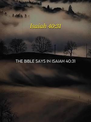 Isaiah 40:31  “but those who hope in the LORD will renew their strength. They will soar on wings like eagles; they will run and not grow weary, they will walk and not be faint.” #isaiah4031 #mybibleverse #biblequotes #bibleverse #godquotes #christiantiktok 