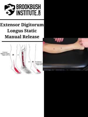 🔴 Extensor Digitorum Longus Static Manual Release Video clip from the online course "Static Manual Release: Lower Leg Muscles": The course counts for 2 credits toward the Brookbush Institute certifications and is pre-approved continuing education. Watch the full video and take the course! Go to our profile 👉 @BrookbushInstitute Click on linkin.bio/brookbushinstitute Choose this image 🔵 Brookbush Institute offers: • Certified Personal Trainer (CPT) Certification • Human Movement Specialist (HMS) Certification • Integrated Manual Therapist (IMT) Certification • 180+ CEC-approved courses • Courses on desktop or mobile • 500+ videos & 500+ articles • New features and content added weekly! 🔴 Completing courses and certifications has never been easier, and the quality of courses has never been higher! #integratedmanualtherapist #effectivetreatment #physio #physicaltherapist #physiotherapist #manualtherapy #integratedmanualtherapy #IASTM #athletictrainer #chiropractic #LMT #massagetherapy