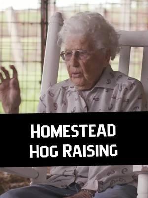 Hogs for the Homestead #lefeeds #homestead #rancher