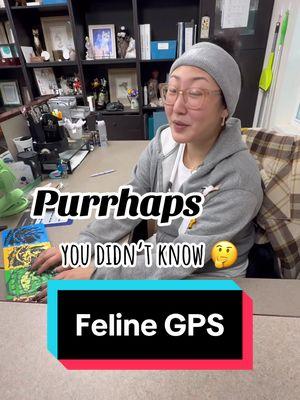 Kitties have their own internal GPS! 🐾 Let’s explore this amazing feline superpower. #CatFacts #FelineGPS #thecatterycc #superpower #catinfo #smartcat 