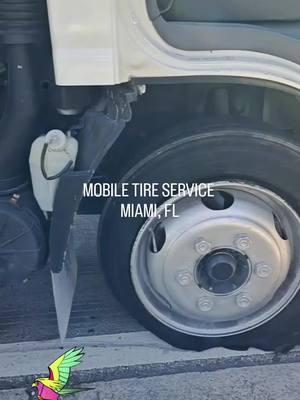 🚗 Stuck Near Miami International Airport? We’ve Got You Covered! 🛞 This driver waited 3 hours for help 😱 … but when BOSSA Roadside Assistance got the call, we were there in just 30 minutes to get them rolling again! 🚨⚙️ Tire Care Tips to Keep You Moving: 1️⃣ Check Your PSI: Under or overinflated tires can cause serious issues. 2️⃣ Inspect for Damage: Look for nails, bulges, or cracks regularly. 3️⃣ Don’t Overload: Too much weight can stress your tires. 📞 Call us now: +1-786-865-4283 🌐 Visit us: www.bossaroadsideassistance.com 👉 Follow us for more tips & stories from the road: Facebook | Instagram | TikTok | Twitter | Threads | Blue Sky #MiamiTireServices #RoadsideAssistance #TireCareTips #MiamiInternationalAirport #BOSSARoadside