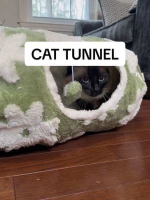 Cat tunnel bed - so adorable  #fyp #TikTokShop #tiktokaffiliate #affiliate #tiktokaffiliatemarketing #tts #cat #catsoftiktok #catbed #petowner #pets #housepet #kitty #kittycat #kittycatsoftiktok #kitten #kittenrescue #kittensofinstagram #cuteanimals #cuteanimal #cuteanimalstiktok #cutie #funtoys #toysforcats #cats @Lesure Pet @LESURE.US.Shop 