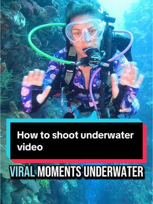 One trick to shooting underwater video is forcing something out of the comfort zone. Oh and ALWAYS always have that camera ready to go 🤿🎥👌👀 #underwatervideo #underwaterphotography #scuba #videotips #scubatiktok #scubadivingwithkenny 