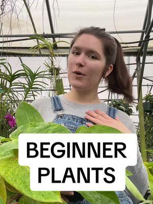 Plants are for everyone 🙂‍↕️🙌 #fyp #plants #beginner #beginnerplants #easyplants #fakeplants #newgrowth #nojudgementzone 