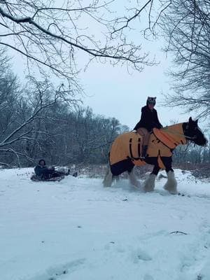 Just enough for sledding purposes #horsesledding #sledding #snowday #gypsyvanner #gypsycob #gypsyhorse #thefluffyeventer 