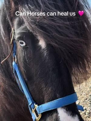 Yes, horses can heal us 🩷 #healyourheart #horsesoftiktok #anxietyrelief #unendinglove 