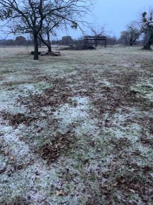 #snowdayintexas #Trending #tinyhomes #farminginthewinter #texasranchwinter #homestead #whatnew #bordercrossings #dallasparty #fortworth #landman #midlandtx 