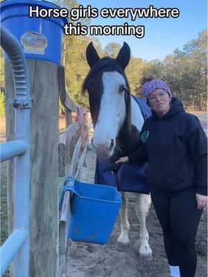 Stay warm out there friends 🥶 oh and #trailtwats hoodies are available! 🙌🐴❤️ #horsegirls #coldaf 