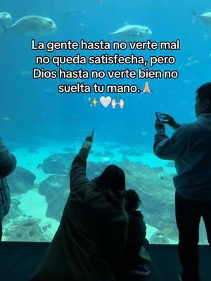 #oracion #dios #diosesbueno #diosesamor  #diosesfiel  #diostebendiga #bendecidodia  #LauraMaya  #laumay4  #viral