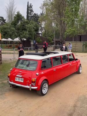 The not so mini Mini🤔 Owner : @mini_limousine - - #mini #limousine #minicooper #fyp #classicmini #classiccars #austinmini #rovermini #fypage 