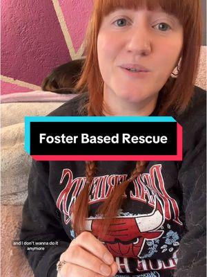 Replying to @TheHussHouse_ Let’s go through each slide to discuss why foster based rescue is still not an avenue I’m interested in pursuing. #dogs #dogtok #dogsoftiktok #dogbreeding #ethicalbreeding #adoptorshop #adoptorshopresponsibly #dogbreeds #shelterdog #rescuedog #fosterdog #adoptdontshop #adoptdontshopistoxic #greenscreen 