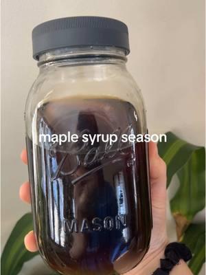 Guys it’s almost time for maple syrup season!!!! This will be our third year tapping trees for maple syrup and I cannot wait. I will be documenting the whole process again so leave me any questions you have about it.🤎🤎  #maplesyrup #mapletree #maplesap #maplesyrupseason #gardeners 