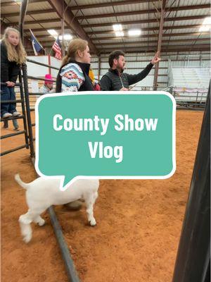 County sheep and goat show vlog💙 #stockshowlife #showgoats #showlambs #Vlog 