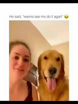 Funny and cute dogs compilation 🤣 🥰#funnydog #funnypet #cutedog #dogoftiktok #doglover #dog 