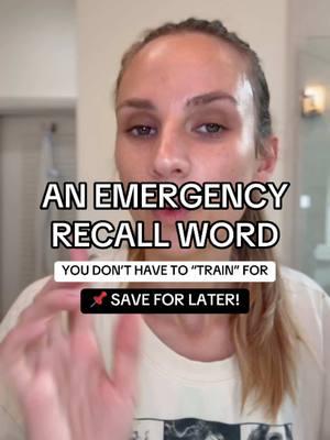 Let’s talk emergency recall training! I think I’ve found a recall hack I will definitely be using in emergency situations going forward 😂  #DogTraining #dogtrainingtips #recalltraining #dogrecall #dogmomaf #dogtrainer #doghacks 