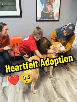 Heartwarming Dogs Adopting Moments 🥹❤️ #dog #dogsoftiktok #doglover #dogtok #doggo #dogs #adopt #adoptme #adoption #adopted #shelterdog #shelter #heartwarming #wholesome #hearttouching #fyp #foryoupage 