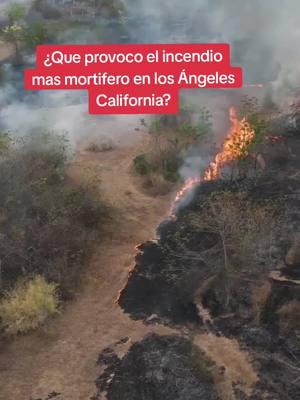 ¿Qué provocó el incendio más mortífero en la historia de California? 🌲🔥 En este video, exploramos el devastador incendio de Pacific Palisades que comenzó el 7 de enero de 2025. Con una sequía severa y vientos de Santa Ana que han superado los 160 km/h, este incendio ha arrasado más de 1,000 estructuras y forzado la evacuación de miles de personas en áreas como Santa Mónica y Los Ángeles. La investigación sobre su origen sigue en curso, mientras el país reza por las familias afectadas. Únete a nosotros para entender mejor cómo factores climáticos y humanos pueden desencadenar desastres de tal magnitud. ¡Dale like y comparte este video! #IncendioCalifornia #PacificPalisades #DesastreNatural #usa #chicago #newyork #sanfrancisco #oakland #bayarea #sanjosecalifornia #losangeles #california #texas #phoenix #lasvegas  #chicago #miami #florida #orlando #houston #dallas #sacramento #elpasotx #sandiego #newjersey #charlote #washingtondc #tacona #seatle #siliconvalley #videostristes  #fypシ゚viral #foryou #videoviral #parati #videoviralitiktok #videosparati❤️❤️viral #michoacana🇲🇽🥑🐓 #michoacana🇲🇽🥑🐓 #michoacan #guanajuato #cops  #criminales  #crimen  #tiktok #california #usa #videostristes  #raza #paisanos #vendedoresambulantes #zacatecas  #fypシ゚viral #foryou #videoviral #parati #videoviralitiktok #videosparati❤️❤️viral #michoacana🇲🇽🥑🐓 #michoacana🇲🇽🥑🐓 #michoacan #guanajuato #tiktok #california #usa  #entretenimientoparati #entretenimientotiktok #entretenimiento #entretenimientoencasa #espectáculos #chismes #chismestiktok #cubanosporelmundo #cubanosenmiami #cubanostiktok #cubanos Banda La Progresiva De Michoacán. https://youtu.be/ijEAFz5LN38?si=0DXemuBUZcvYHgFH https://youtu.be/w-yEabigkBU?si=PjymlFf4LFUj_p9r https://youtu.be/2S0NSlgrVxk?si=_LsovYiLMstjjQgb https://youtu.be/nd55936Umtw?si=osYDrAwVN_9GRHlN