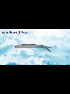 Understanding Aircraft Flap Types: A Key Element of Aerodynamic Design Flaps are critical components of an aircraft’s wing design, playing a pivotal role in enhancing lift and drag during takeoff, landing, and slow-speed flight. In my recent video, I explore the various types of flaps, their unique characteristics, and the aircraft types they are typically found on. #Types of Flaps: Plain, Split, Slotted, Fowler, and Krueger flaps. Here’s a detailed breakdown of each flap type, its uses, advantages, disadvantages, and examples of aircraft that use them: 1. Plain Flap 	•	Description: The simplest type of flap, hinged at the rear of the wing. When deployed, it increases the camber of the wing. 	•	Advantages: 	•	Simple design and easy to construct. 	•	Low maintenance. 	•	Disadvantages: 	•	Limited lift generation compared to more advanced flap designs. 	•	High drag at larger deflection angles. 	•	Uses: Common in small, general aviation aircraft. 	•	Examples: Piper Cub, Cessna 150. 2. Split Flap 	•	Description: Consists of a lower surface flap that hinges down, creating a large amount of drag. 	•	Advantages: 	•	Produces significant drag for steep descents. 	•	Moderate increase in lift. 	•	Disadvantages: 	•	Higher drag-to-lift ratio than other flap types. 	•	Not as efficient in lift generation. 	•	Uses: Suitable for older aircraft designs and those requiring steep approaches. 	•	Examples: Douglas DC-3, Boeing B-17. 3. Slotted Flap 	•	Description: Features a gap between the wing and the flap, allowing high-pressure air from below the wing to flow over the top of the flap. This delays airflow separation and increases lift. 	•	Advantages: 	•	Provides more lift than plain or split flaps. 	•	Improves slow-speed performance. 	•	Disadvantages: 	•	More complex and heavier than plain or split flaps. 	•	Uses: Common in commercial and modern general aviation aircraft. 	•	Examples: Boeing 737, Cessna 172. 4. Fowler Flap 	•	Description: Extends backward and downward, increasing both wing area and camber. 	•	Advantages: 	•	Excellent lift generation. 	•	Efficient for short runways and heavy loads. 	•	Disadvantages: 	•	Complex and heavy mechanism. 	•	Requires careful maintenance. 	•	Uses: Often used in large commercial airliners and aircraft needing high lift at low speeds. 	•	Examples: Boeing 747, Airbus A320. 5. Krueger Flap 	•	Description: Hinged leading-edge flap that increases the curvature of the wing’s leading edge, enhancing lift. 	•	Advantages: 	•	Reduces stall speed during takeoff and landing. 	•	Effective for high-lift applications. 	•	Disadvantages: 	•	Limited to specific conditions (low speeds). 	•	Adds weight and complexity. 	•	Uses: Common in modern jetliners for takeoff and landing. 	•	Examples: Boeing 747, Boeing 787. Why Different Flaps? Each flap type is designed to address specific performance needs, such as enhancing lift during takeoff or managing drag during landing. Engineers choose flap designs based on the aircraft’s mission, size, and operational requirements. #Aircraft Applications: Examples of aircraft using each flap type. #Advantages & Disadvantages: How each flap type impacts performance, including lift, drag, complexity, and efficiency. This video aims to provide a clear and concise overview for aviation enthusiasts, engineers, and professionals interested in understanding how flap design influences aircraft performance. #Why it Matters: Flap design is not just a technical choice—it’s a key factor in determining an aircraft’s efficiency, safety, and operational range. Engineers balance performance and practicality when selecting flap types, ensuring they meet the specific mission profile of the aircraft. #Watch the video to dive deeper into this fascinating topic and share your thoughts or experiences with flap systems in the comments! #Aviation #AircraftDesign #Aerodynamics #EngineeringInsights #fyp#aviationphotography #pilot #aviation#airbuslovers #airbus 4000 #a321 #flightsimulator #aviation #aviationphotography #aviationdaily #aviation4u #aviationphoto #ivao #aviation #avi