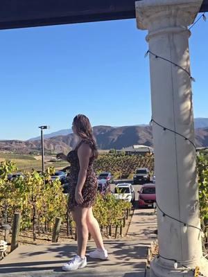 Quiero regresar 😮‍💨#สปีดสโลว์ #สโลว์สมูท #CapCut  #vineyard  #cali  #california  #badbunny 