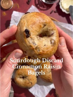 These Sourdough Discard Cinnamon Raisin Bagels are the perfect breakfast or brunch treat 😍 Recipe at the link in my bio! #sourdoughdiscard #sourdoughdiscardrecipe #bagels #homemadebagels #cinnamonraisin #thisjesscooks 