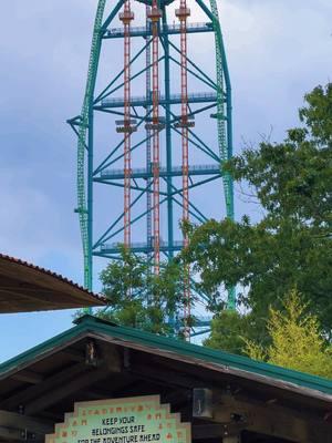 They don’t love you like i do 💚🦁 #kingdaka #sixflags #intamin #extremethrills #tallest #fastest #newjersey #themepark #fy #fyp #viral #travel #amusementpark 