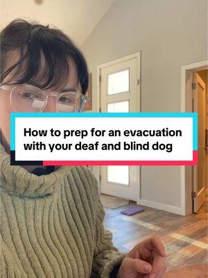 I know we are all feeling big feels about what’s going on in California. I thought this would be a great opportunity to discuss how to prepare your dog for an emergency situation. Quick Tips: 	•	ID & Meds Ready: Keep identification and medications organized for swift access.  	•	Comfort Items: Pack a piece of your worn clothing; your scent provides comfort.  	•	Care Instructions: Have written notes on your dog’s needs in case of temporary sheltering.  Remember, your presence is what your dog needs most. Stay calm, stay safe. ❤️ #PetSafety #EmergencyPreparedness #SpecialNeedsDogs #DeafDog #BlindDog #PetCare #wildfires #StaySafe #PetParenting #DogLovers#LA#naturaldisaster 